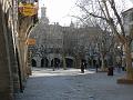 2008_12_Camargue_02 Uzes_04